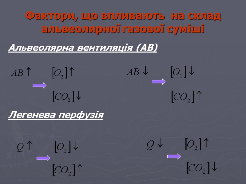 Фактори, що впливають  на склад альвеолярної газової суміші Альвеолярна вентиляція (АВ) Легенева перфузія